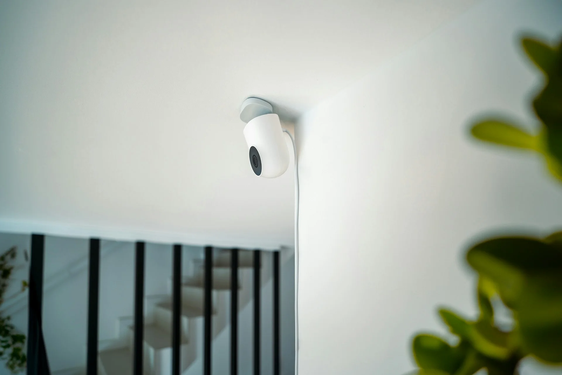 Which Ring Camera Should You Buy? A No-Fluff Guide for 2026